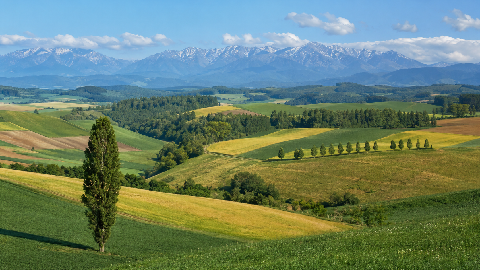 北海道私人包車